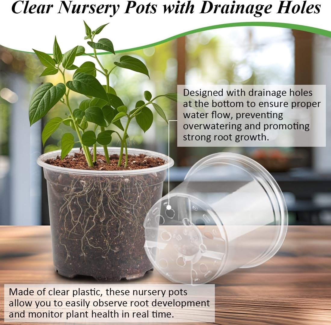 Transparent Nursery Pots 4Inch with Humidity Domes for Seeds Starting, Clear
