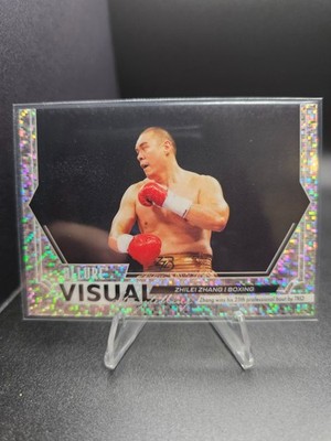 2025 UD Allure SE Zhilei Zhang Visual Storytelling Pixel SP #VS-5