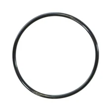 590118Z Pentair O-Ring For Colorvision LED Light Bubbler