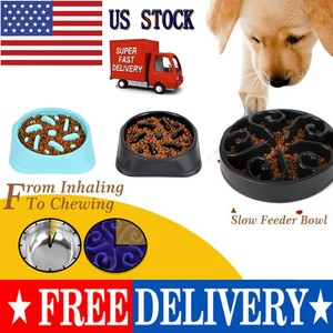reject shop dog bowl