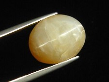 Opal Katzenauge 16,88 Ct. selten Cabochon Brasilien (7796m)