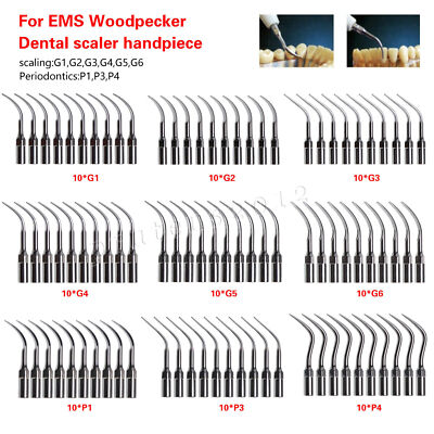 10PCS Dental Ultrasonic Piezo Scaler Tips fit EMS Woodpecker DTE SATELEC st