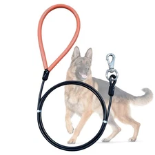 Heavy Duty Dog Leash, Chew Proof Metal Leash for Large Dogs (Up to 250lbs), 5...