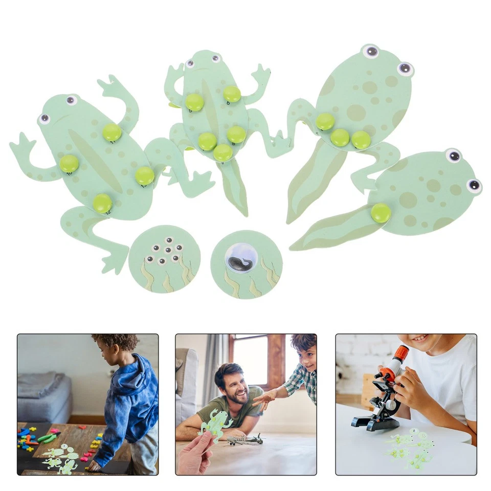  Vorschule Spielzeug Lebenszyklusspielzeug Wissenschaftsexperimente