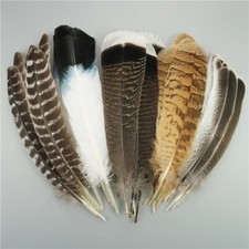 Beautiful 10 Pcs Natural Eagle Feathers Rear for Craft Plume Decoration Diy Art