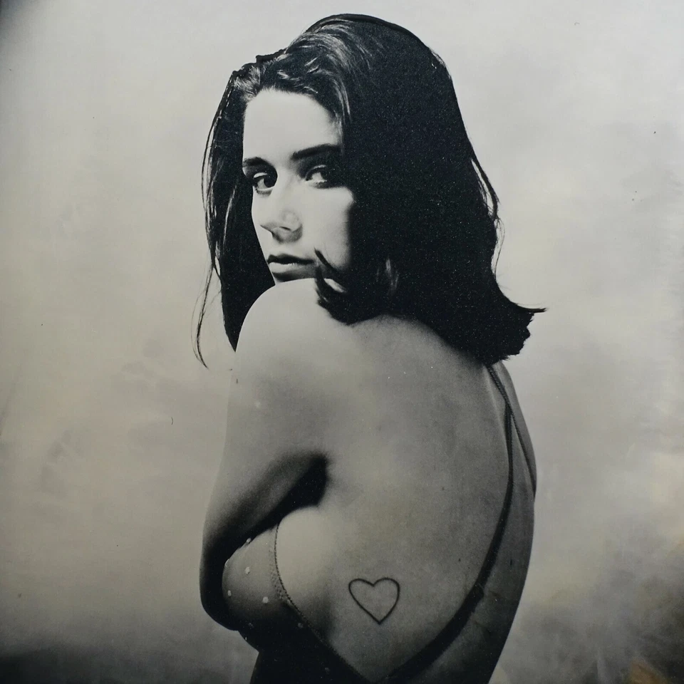Original Nude Ambrotype Photography - Tintype French Girl Wet Plate Collodion 06 - Photo 2/3