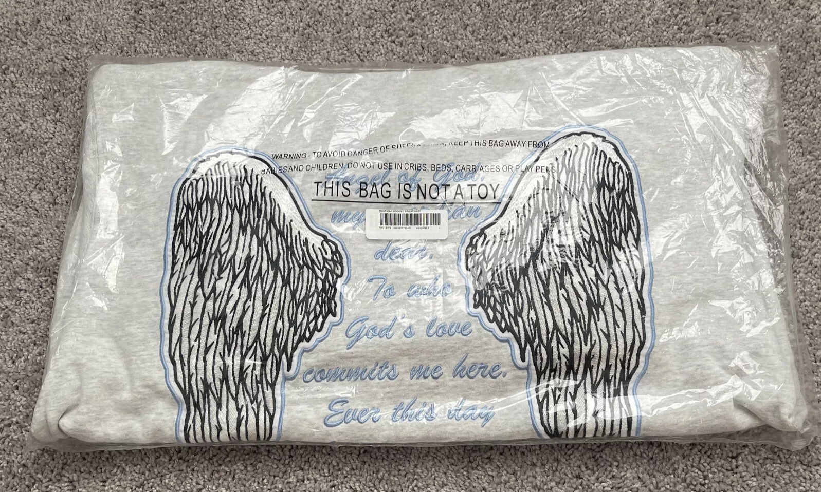 Sweat à capuche Supreme Guardian gris cendres grandes ailes d'ange FW21SW8 ?