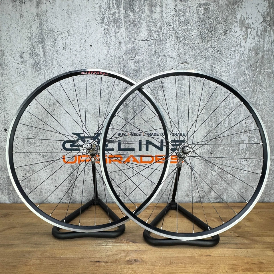 Velocity Alloy mit Campagnolo Record Naben Laufradsatz