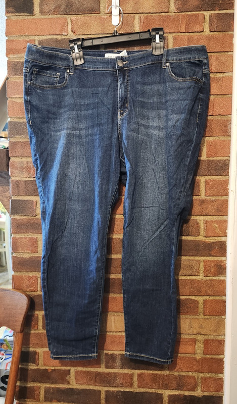 Lane Bryant Dark Wash Mid Rise Skinny Stretch Denim Jeans 5-Pocket Women's 24