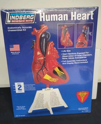 Lindberg Science Kits #71309 - Human Heart, Life Size Model Kit - New/Sealed