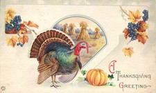 Thanksgiving Greeting Turkey Pumpkin Cornstalks 1920s Postcard