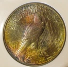 1924 Peace Silver Dollar - UNC, Monster colorful toning rev, toned obv 5204