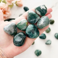 3pcs Natural Moss Agate Tumbled Pocket Stone Crystal Collection Rock Specimens