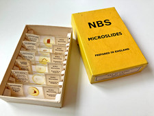 Set of 6 NBS Microslides of Insect Parts - Set 6/A/TWO