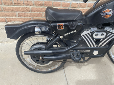 VINTAGE HARLEY DAVIDSON KID'S BICYCLE-1994- 20 IN.- ROADMASTER