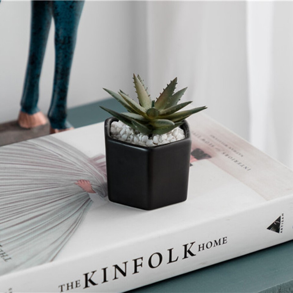 Black Plant Pot Outdoor Flower Pots Succulent Decor for Plants eBay