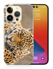 CASE COVER FOR APPLE IPHONE AFRICAN CHEETAH ZOO ANIMALS 2