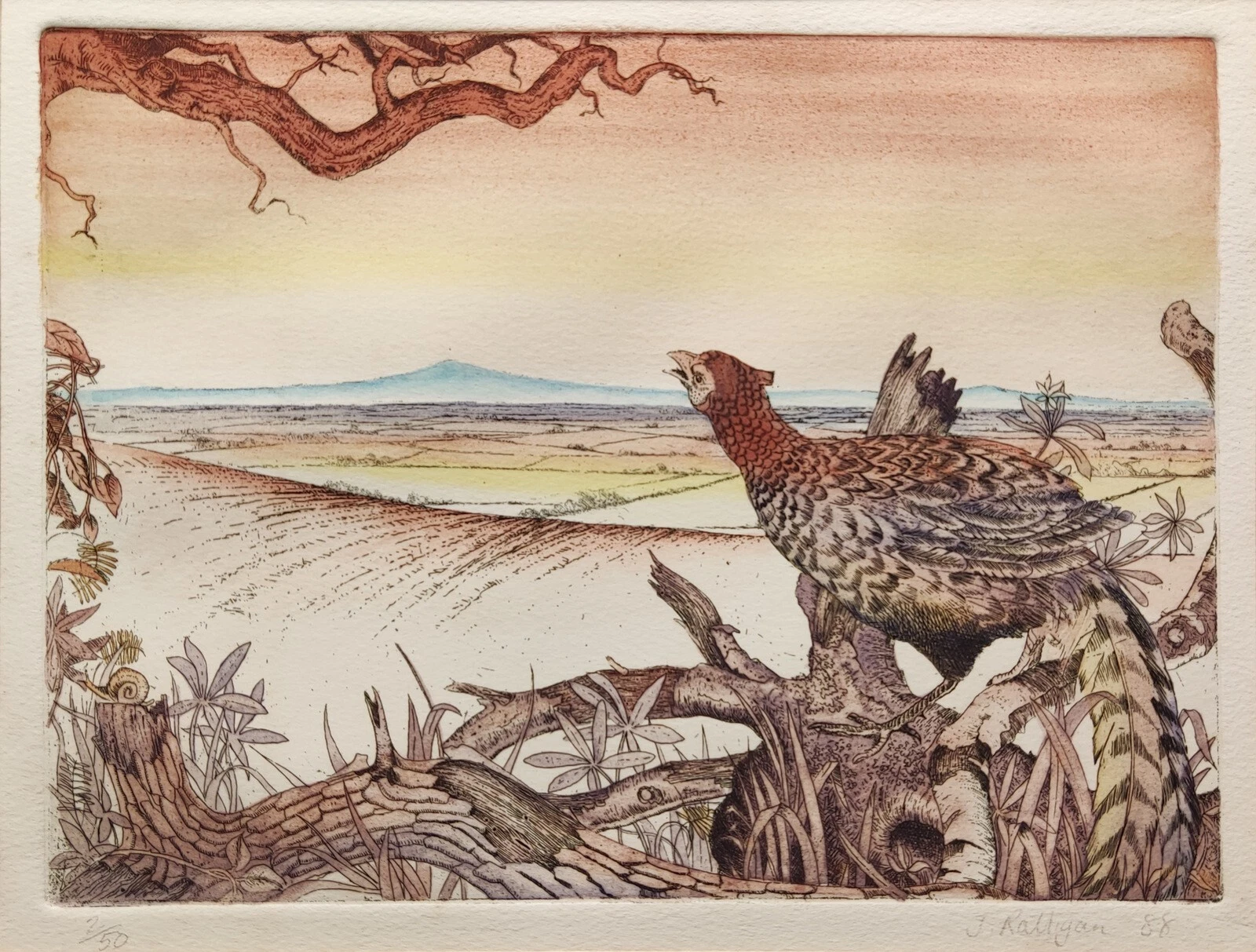 J. RATTIGAN SIGNED ORIGINAL HAND-TINTED ETCHING "GREEN PHEASANT" LTD ED 2/50 - Picture 1 of 21