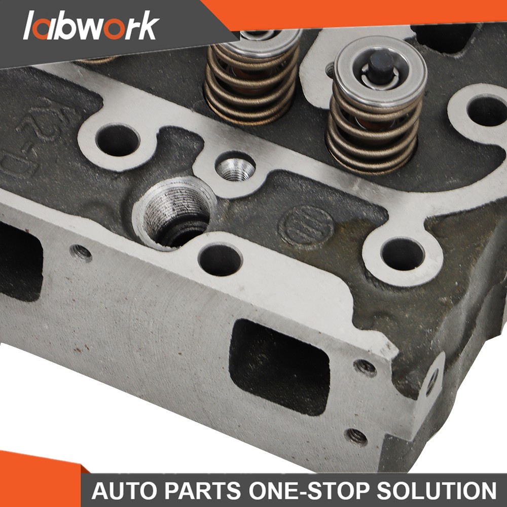 Labwork Complete Cylinder Head w/ Valves Full Gasket Set For Kubota D1005 Engine