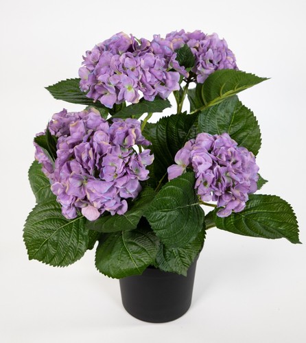 Hortensienbusch Deluxe 42cm lila im Topf LM Kunstblumen künstliche Hortensie - Bild 1 von 6