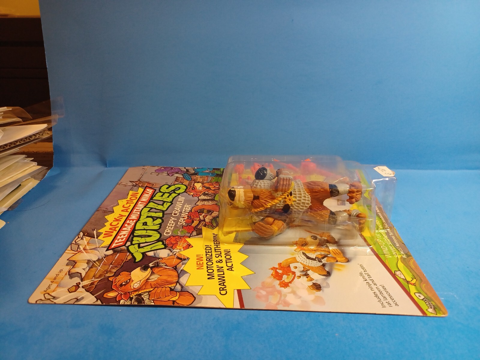 Picture 5 of 5