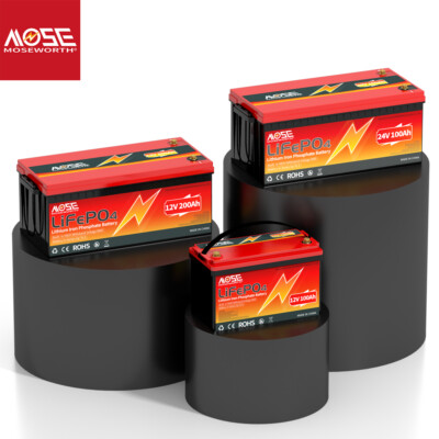 12V 24V 100Ah 168Ah 300Ah LiFePO4 Lithium Battery Deep Cycle BMS Solar RV Marine