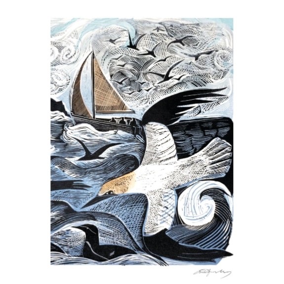 Gannets Rathlin Island Blank Art Greeting / Birthday Card Birds Angela Harding
