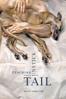 Hamilton - Teaching a Man to Unstick His Tail - New paperback or softb - X555z
