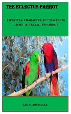 The Eclectus Parrot: Lifestyle, Character, Diets, & Facts about the Eclectus Par