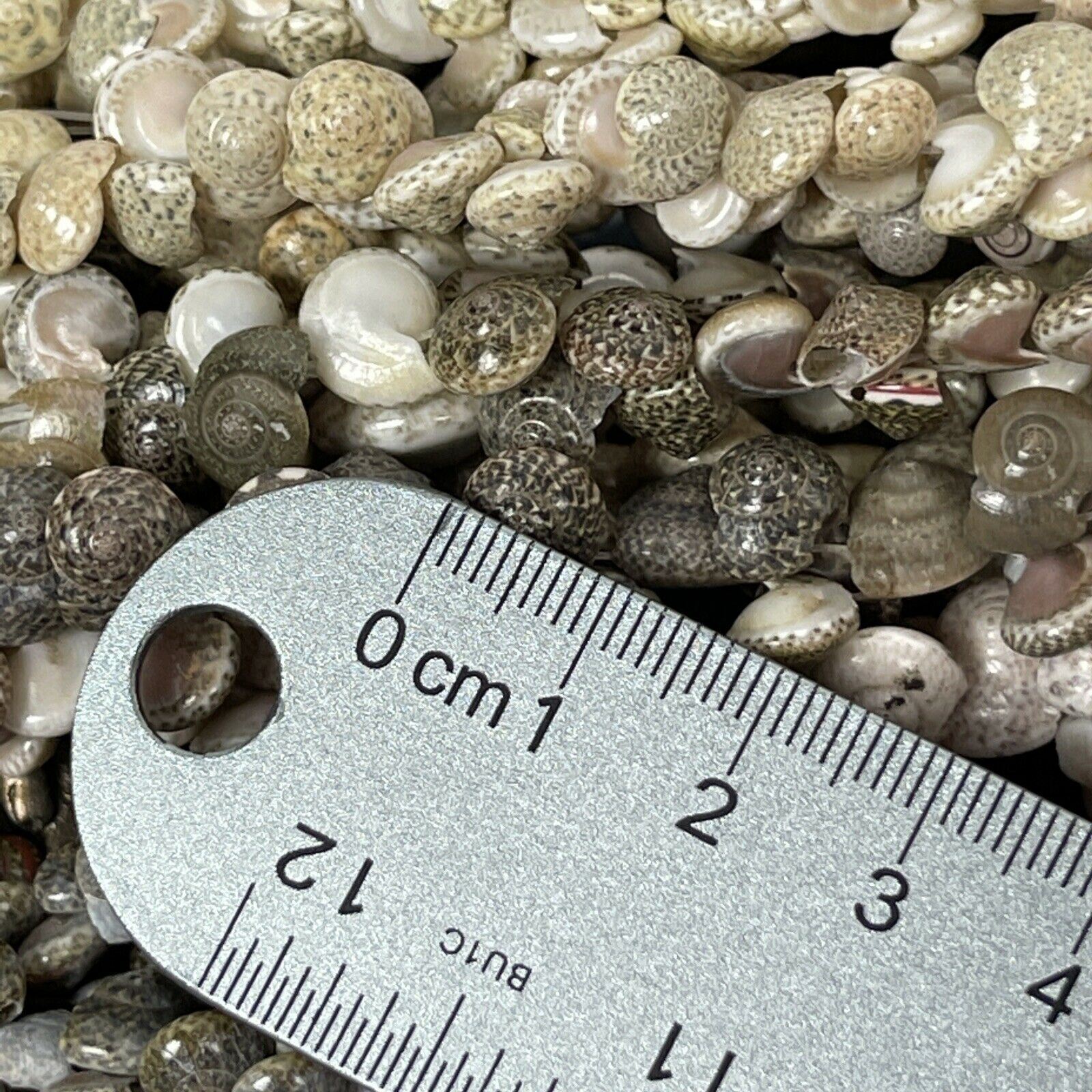 Shell Necklace Mini Shells Extra Long Nautical Oc… - image 7