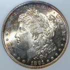 Morgan Silver Dollar 1891-S ANA MS-63!!! Old pre-PCGS Holder. Amazing toning!