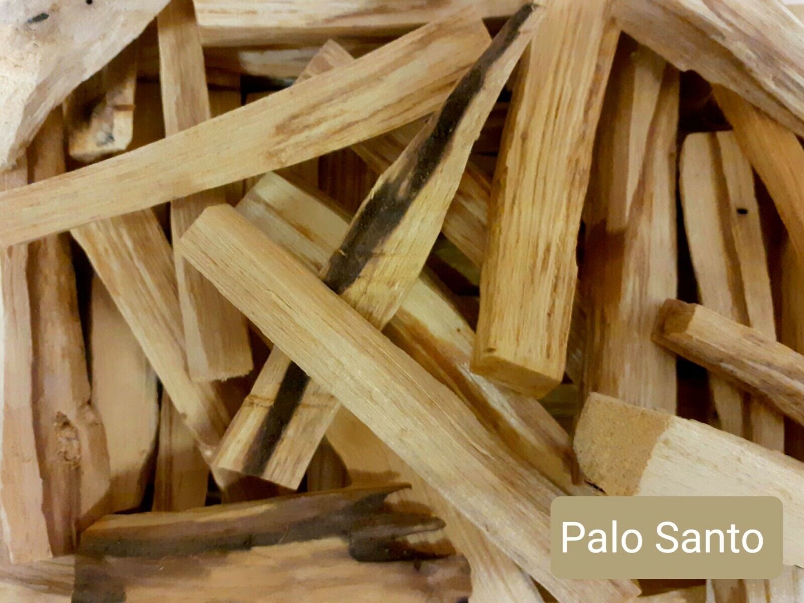 Palo Santo x7 Sticks - Wild Harvest - 100% Sustainable Genuine Palo Santo Wood