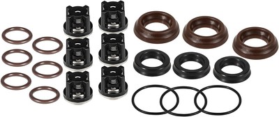 Check Valve Kit Fits AR1828 – Made In Italy For RK, RKA, RKV, XRC, XRA Pressure Washers