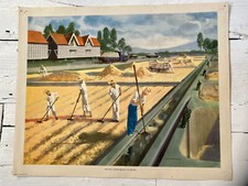 Vintage 1950s UK Macmillan History Geography Print BRAZIL COFFEE INDUSTRY