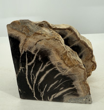 Petrified Wood Bookends Polished Fossil Stone Rustic Modern Natural Decor