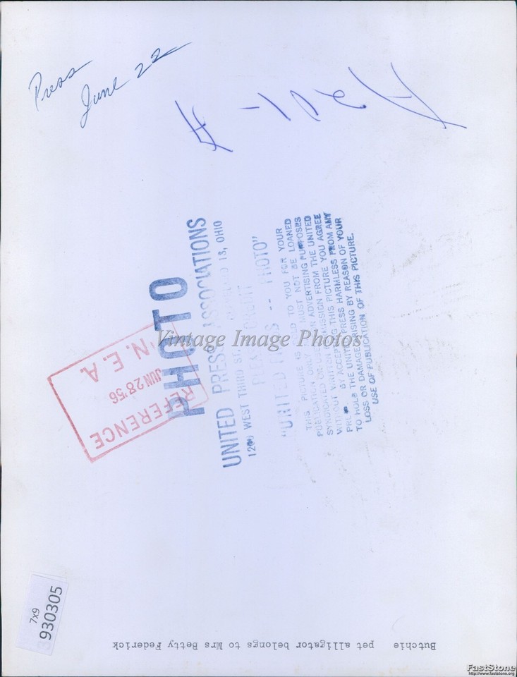 1956 Butchie Pet Alligator Belonging To Mrs Betty Frederick Animals