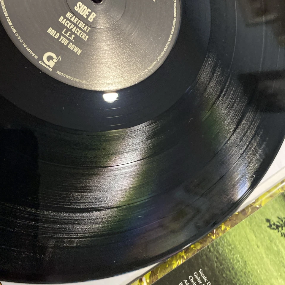 Camp Chilidsh Gambino Record Vinyl LP Album Foto 4 de 4