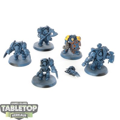 Space Wolves - 5x Wolf Guard Terminators - klassisch - teilweise bemalt