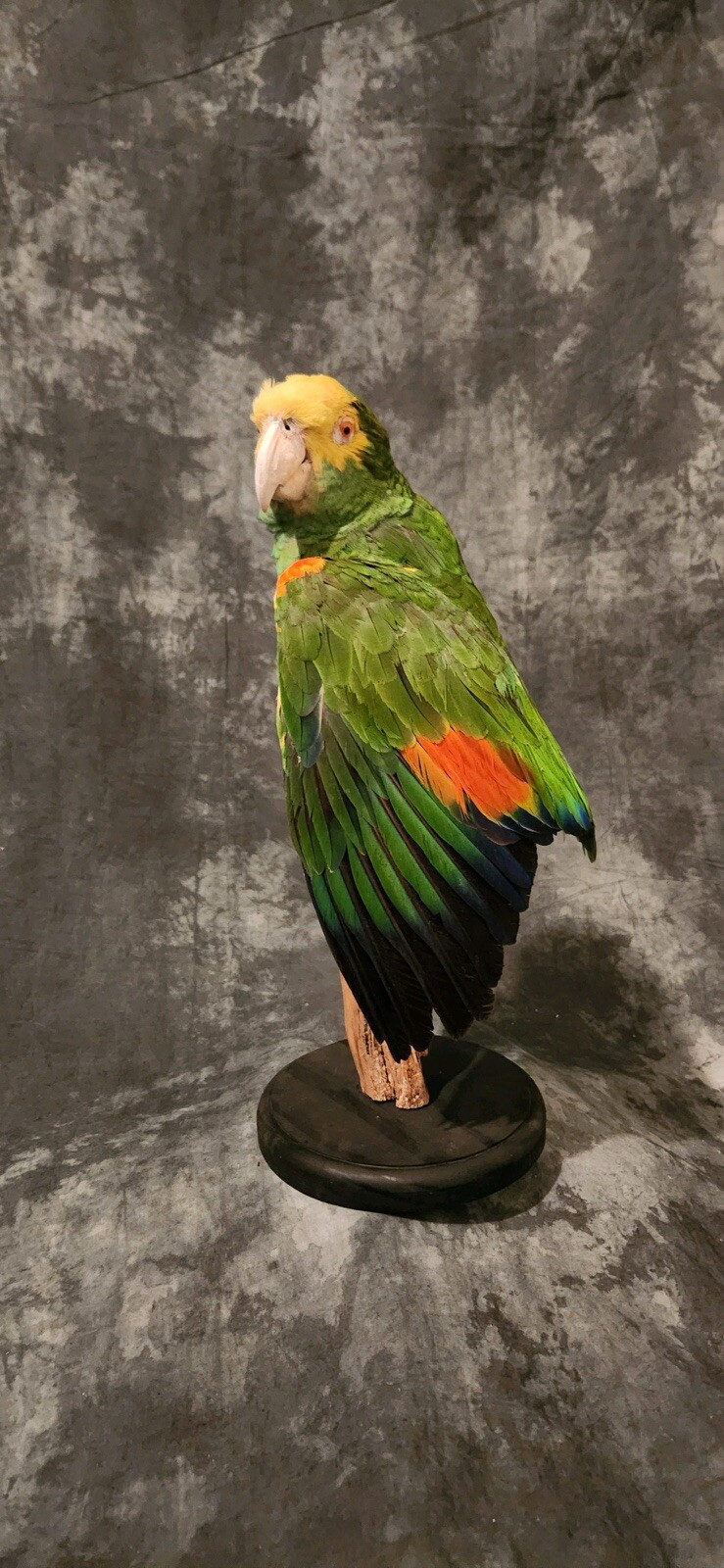 Picture 9 of 10