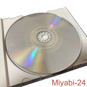 Dreamcast Success Rainbow Cotton Shooting Game, Used, Japan Import