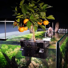 Adjustable Hang on Back Plant Basket for Aquariums