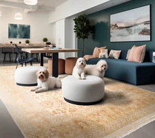 8'10" x 12'5" Beige Hand Knotted Traditional PakPersian 300 KPSI Wool Area Rug