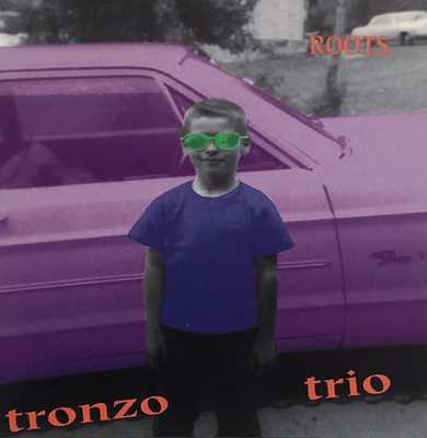 CD - Tronzo Trio   Roots - Knitting Factory Works - (B81)