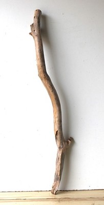 Treibholz Schwemmholz Driftwood  1 XL Ast  Garderobe  Dekoration 95 cm