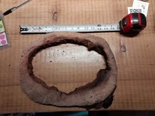 1 Inch Thick Hollow Oak Burl Slice