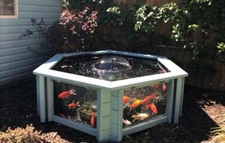 Pond with large windows Lily Garden Aquarium raised hexagon
