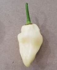 Pepper HOT White Bhut Jolokia Heirloom Vegetable by Seed Kingdom (30 Seeds)