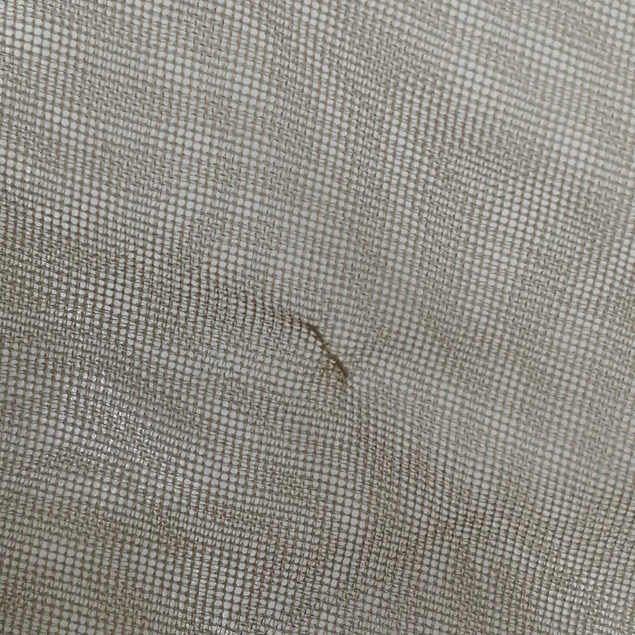 AMERI Sheer Blouse Size F Brown Used - image 7