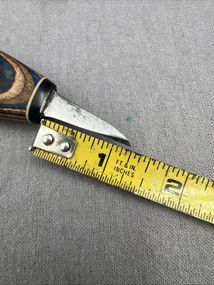 Cuchillo para tallar madera Helvie detalle ovalado hoja de 1,25" RARO Foto 3 de 4