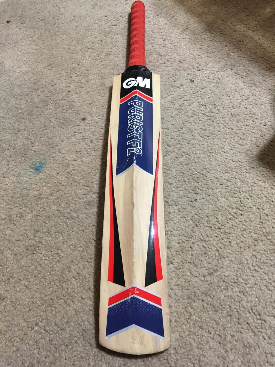 SS vs GM Cricket Bats